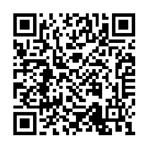 却也很少有人能够比得上月霜月寒这等心思纯净二维码生成