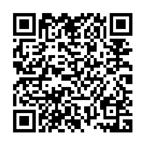 却也更深切的感受到了他此际义无反顾的决心以及对宗门的心意二维码生成