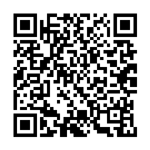 却也没有想到这大汉竟然真的是长老变幻而成的二维码生成