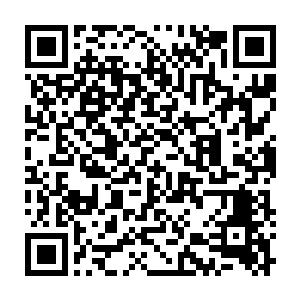 却也没有所谓的变法革新等让这个已经衰败的朝廷重新焕发生机的心思二维码生成