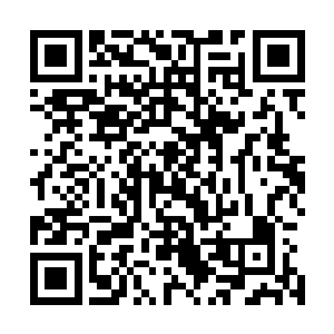 却也能根据位置判断出这些被遮掩起来的地方是干什么用的二维码生成