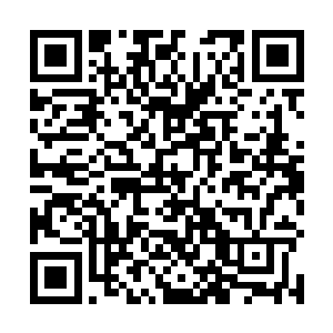 却也能看出来这画面里的两个人在踢脚时姿势一模一样二维码生成