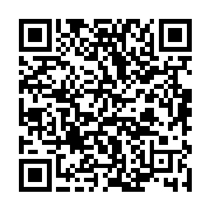 却也还没确切的体会到这个时代豪门贵族至上的道理二维码生成