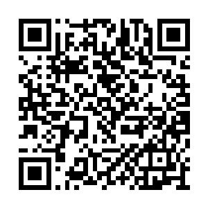 却也颇有些为让这个气宇轩昂的男子动容而自傲二维码生成