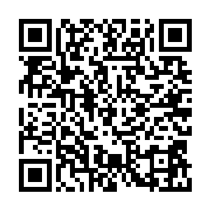 却从不曾想过连黎王殿下的心思也要能猜晓几分二维码生成