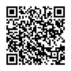 却从来没有想到过那颗小树有可能也有它自己的生存需求……二维码生成