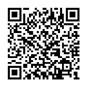 却从来没有想过为什么把哲卜尊丹奉为领袖人物二维码生成