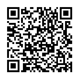 却从没见过还能活的如此理直气壮且底气十足的女人二维码生成