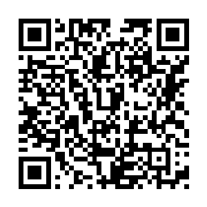 却仿佛有了灵性一般丝毫不曾伤到她娇嫩的肌肤二维码生成