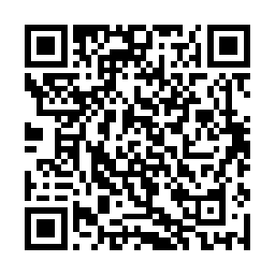 却仿若是一个误入凡尘的精灵一般出现在了他的面前二维码生成