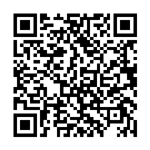 却会发现这个寿字是无数个形体各异的小寿字组成了二维码生成