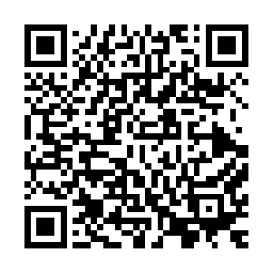 却依旧充满警惕地死死盯着这个穿着特蕾莎胸甲和短裙的男人二维码生成