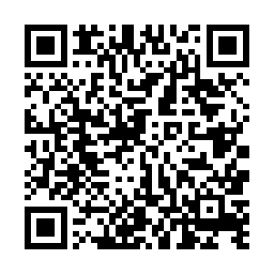 却依旧可以清晰的感觉到那几片寻踪之羽的轨迹和动向二维码生成