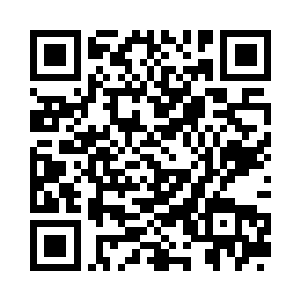 却依旧是极玄破虚诀自带的元光甲和破虚九拳二维码生成