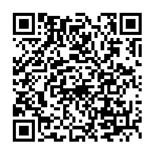 却依旧被阴葵妖王的妖身触手鞭须在其身上留下了一道深深的伤痕二维码生成