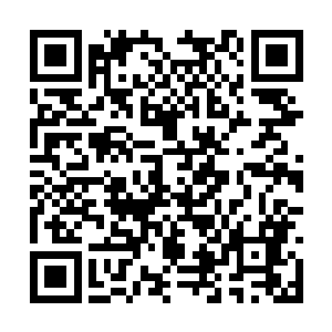 却倒出了五十个暗影正在疯狂地抢掠着许家的资源二维码生成