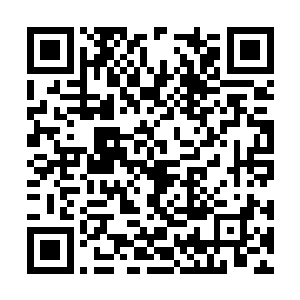 却偏偏做着太后和大伯父期望他肩负起责任的事儿二维码生成