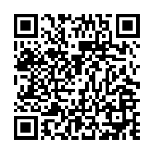 却决计不可能对支撑天下社稷气运的龙脉之气有所抵抗二维码生成