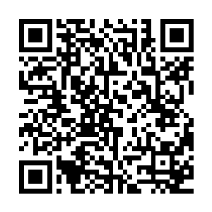 却刚好是之前那三个准备打安琪儿主意的巫族后裔所选的炼雀柱二维码生成