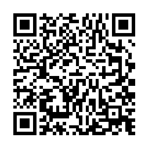 却原来她满月那日前来道贺的贵妇们有一少半的人怀孕了二维码生成