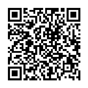 却原来就是云珠郡主之前口中那位来打秋风的穷亲戚呀二维码生成