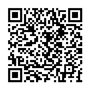 却又不想放过暗魔殿这种曾经妄图毁掉世界的人二维码生成