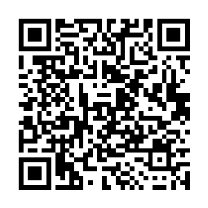 却又哪敢跟何大少这样有点钱有点势的公子哥硬抗二维码生成