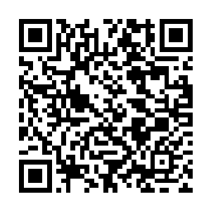 却又哪是青蛇殿和赤蛇殿仓促间冲上来的子弟所能比二维码生成