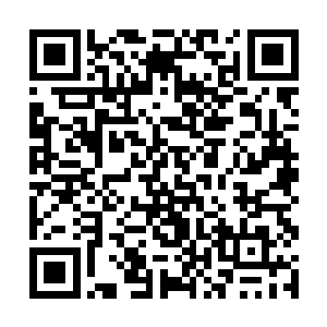 却又因心虚不敢偏头去看她那双黑白分明的漂亮眼睛二维码生成