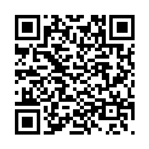 却又在清新之中夹了几抹艾草的微涩二维码生成