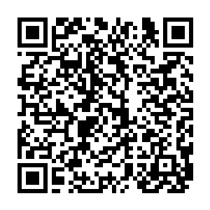 却又是因为自己为了自己命运而听从了钱瑞平的建议向着自己追求的目标奋斗二维码生成