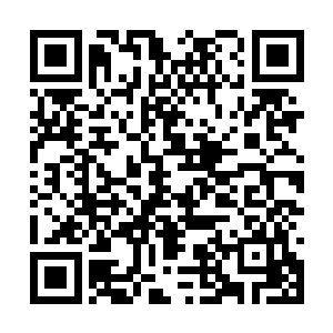 却又没有肌肉轮廓的一双美腿展现在孙子轩的眼中二维码生成