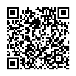 却又没激发生命能量的战士有个统一的叫法――预备骑士二维码生成