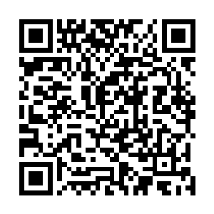 却又满心期望继而接踵而来便是深深的失望与莫名的恐惧二维码生成