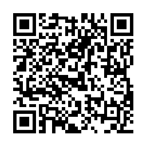 却又看到了婉儿和秀儿满眼关切尽是心痛神色的盯白沉二维码生成