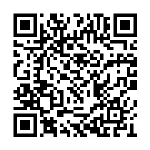 却又见到一个庞然大物从丛林战隆隆地行了出来二维码生成