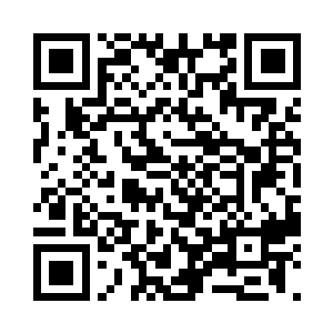 却又让人觉得仿若不沾尘世的天使似的二维码生成