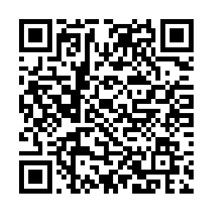 却发现一个老者带着一个二十五六岁的青年走了进去二维码生成