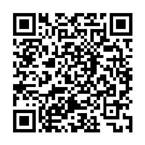 却发现了其中的一只死苍蝇……这让她感觉无比的难受二维码生成