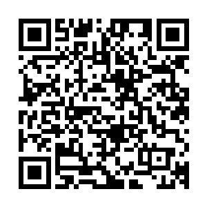 却发现以前杨眉那些随处可见的照片都不知道被党玉收去了哪里二维码生成