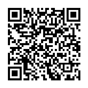 却发现原本聚集在西区的丧尸正在被一群大鸟围攻二维码生成