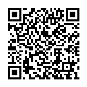 却发现周家辉的目光正从自己身上移开转向别处二维码生成