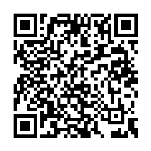 却发现家里竟然来了一个让他绝对想不到的客人二维码生成