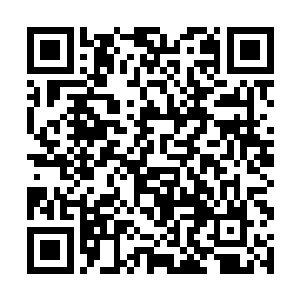 却发现小区的一条街道外有人鬼鬼祟祟地注视着二人二维码生成