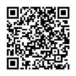 却发现小姑娘正用幽幽的目光看向身边的兵马俑二维码生成