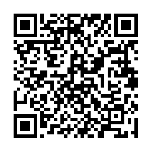 却发现有十几道气息正以包饺子的方式朝我围了过来二维码生成