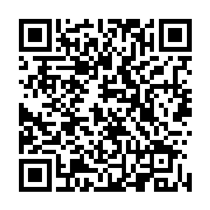 却发现流墨墨黑眸放光的盯着半空那团涨涨缩缩的朦胧光团二维码生成
