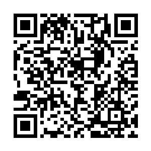 却发现童小蕊不知道什时候竟然已经站到了他和童小军面前二维码生成