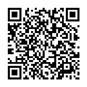 却发现自己三人正在一片原始森林和湖泊的上空二维码生成