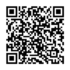 却发现自己的右手手肘以下竟然已经完全化为了翡翠二维码生成